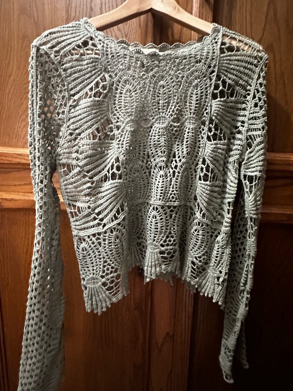 Rebellion Light Sage Crochet Openwork Crewneck Sweater